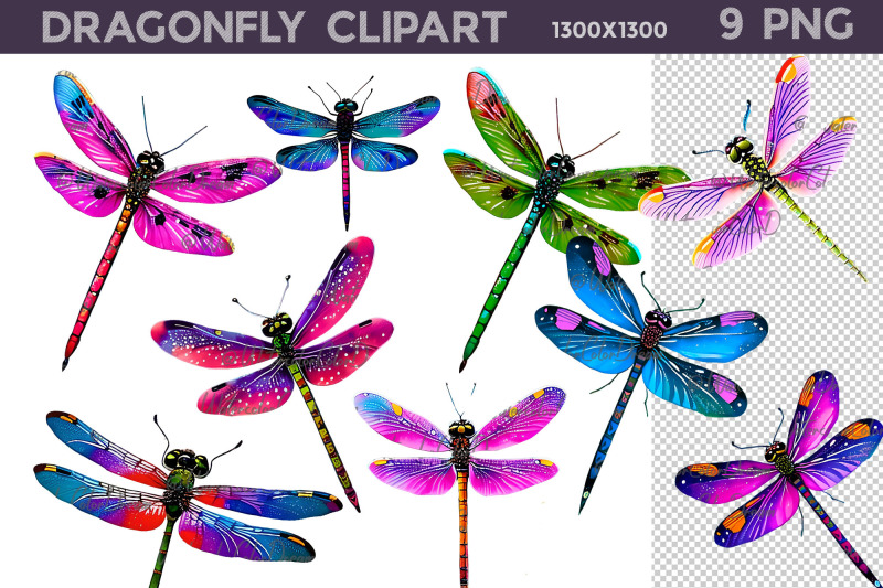 dragonfly-clipart-png-dragonfly-illustration-nbsp