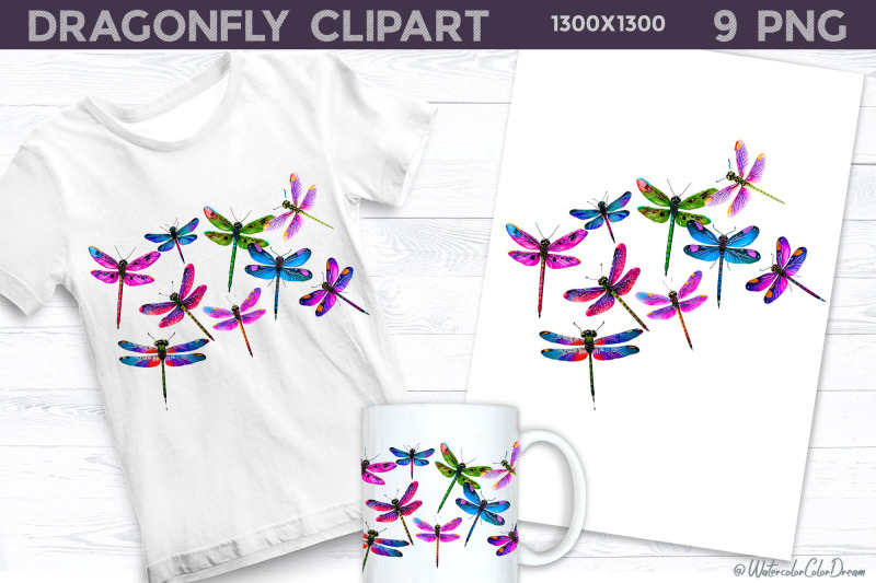 dragonfly-clipart-png-dragonfly-illustration-nbsp