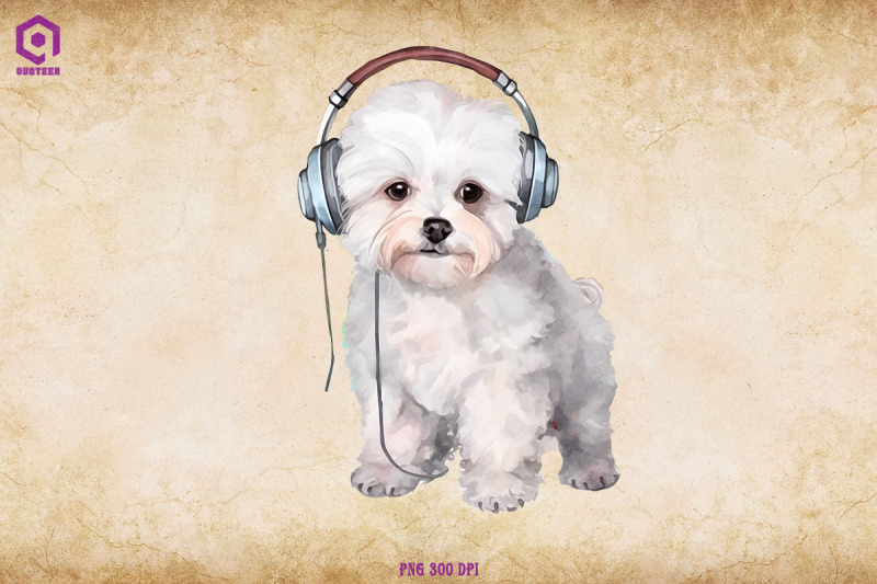 bichon-frise-wearing-headphone