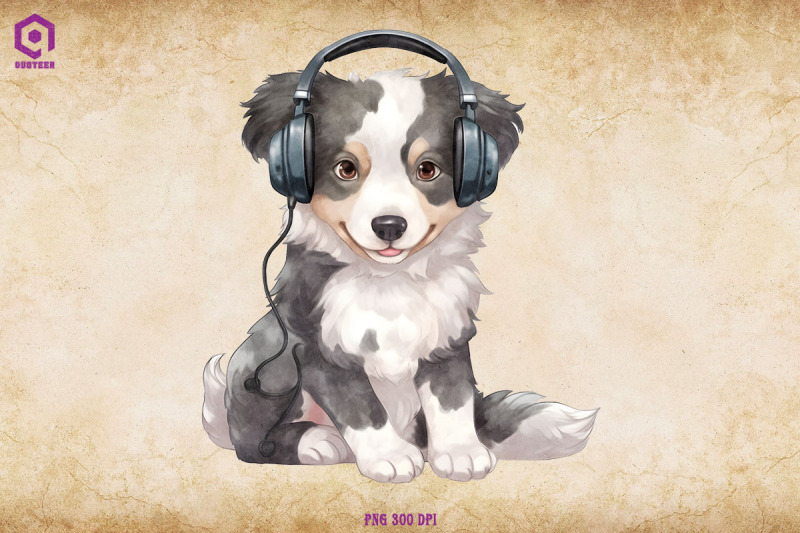 border-collie-wearing-headphone