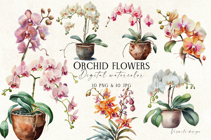 watercolor-orchid-flowers-clipart