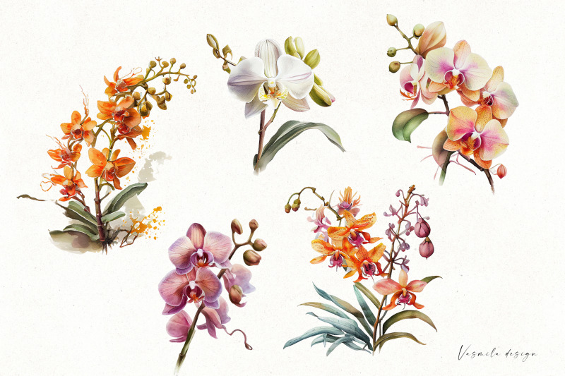 watercolor-orchid-flowers-clipart