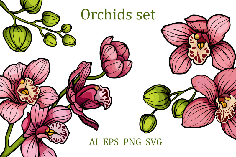 pink-orchid-flowers-clipart-svg-png-eps
