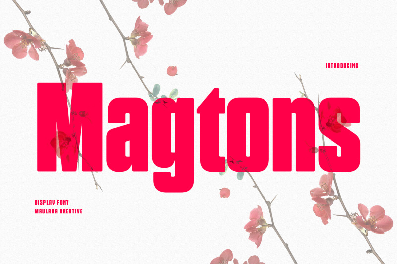 magtons-display-font