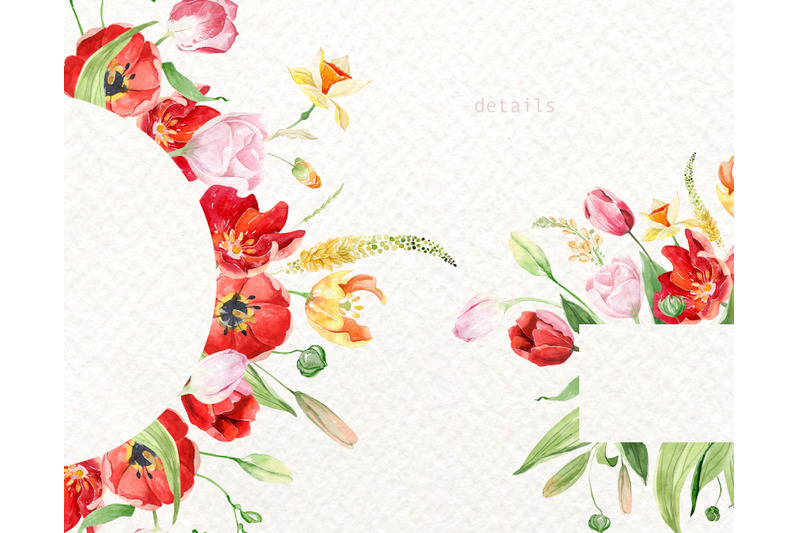 watercolor-tulips-arrangements-spring-floral-clipart-tulips-frames