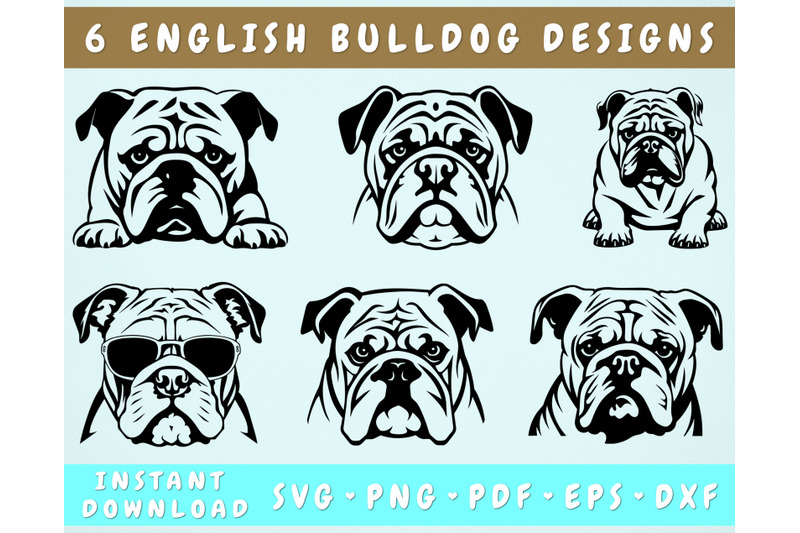 english-bulldog-svg-bundle-6-designs-english-bulldog-png