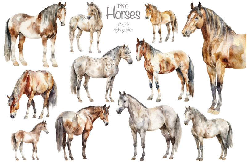 horses-watercolour-clipart