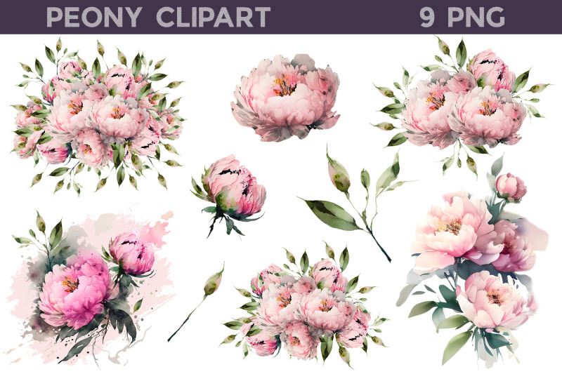 peony-clipart-png-peonies-illustration-png