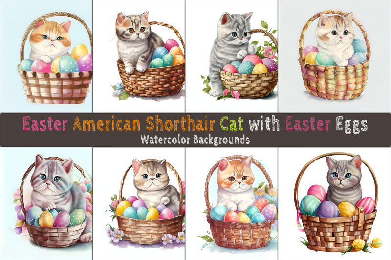 easter-american-shorthair-cat-background