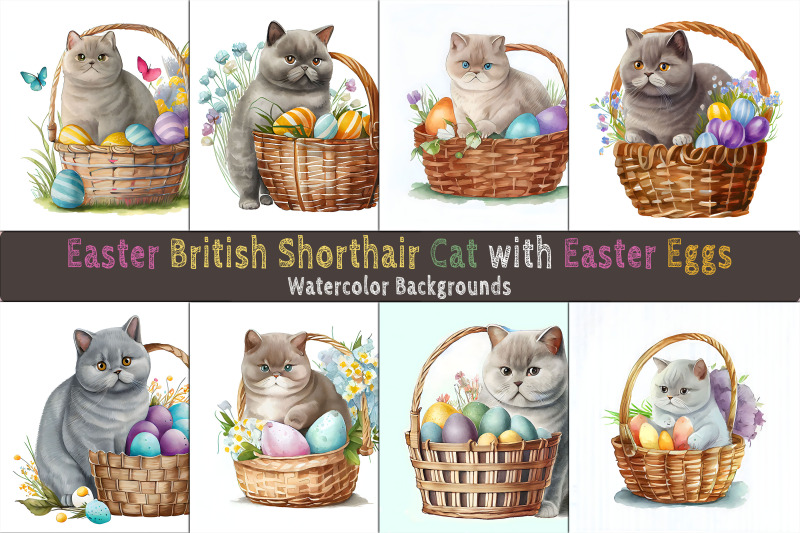 easter-british-shorthair-cat-background