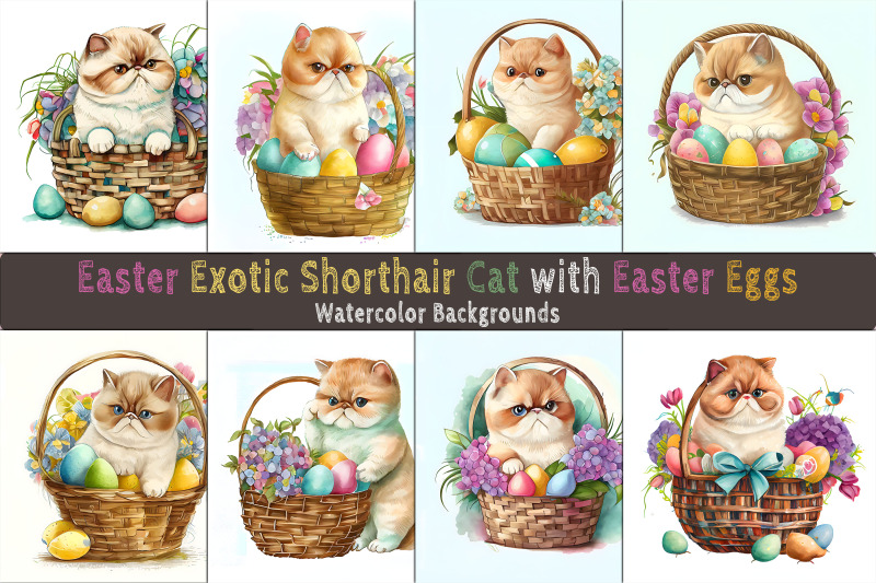 easter-exotic-shorthair-cat-background