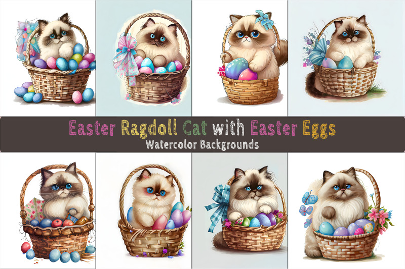 easter-ragdoll-cat-background