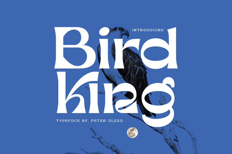 bird-king-retro-serif