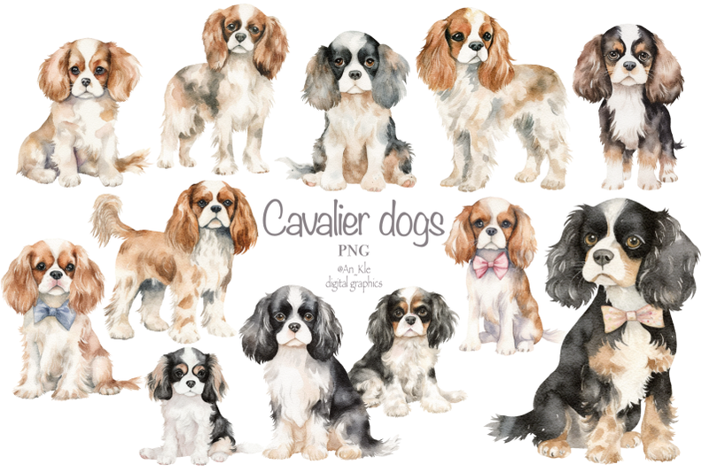 cavalier-dogs-clipart