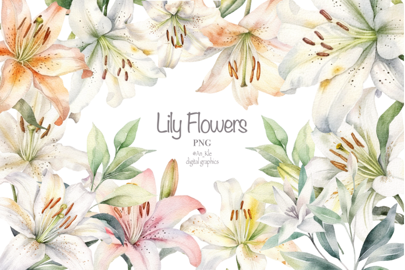 lily-flowers-clipart