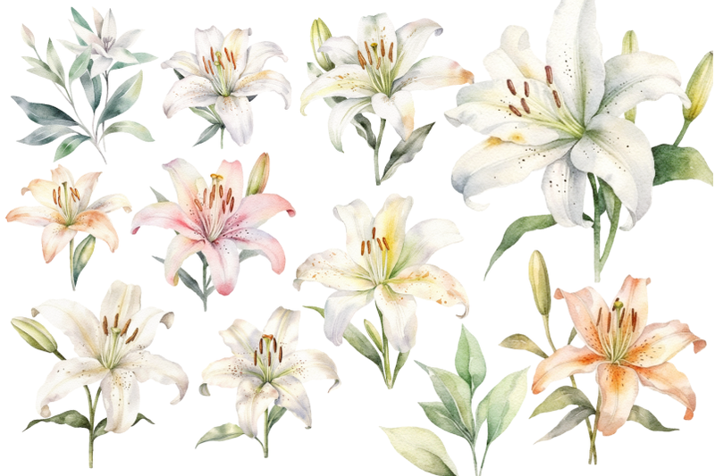 lily-flowers-clipart