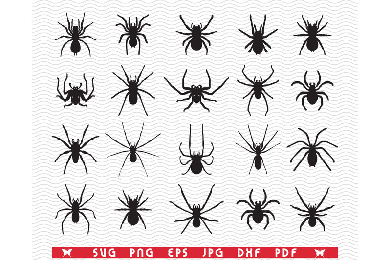 svg-spiders-black-isolated-silhouettes-digital-clipart