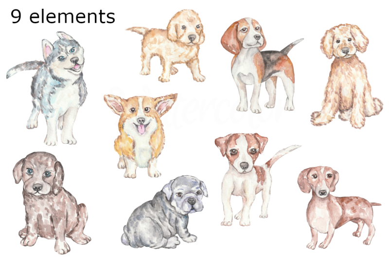 puppies-dogs-watercolor-clipart