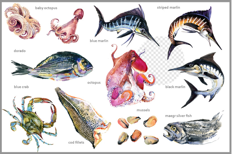 sea-fish-amp-ocean-animals