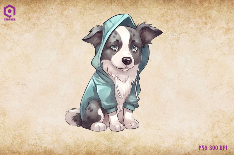 border-collie-dog-wearing-hoodie