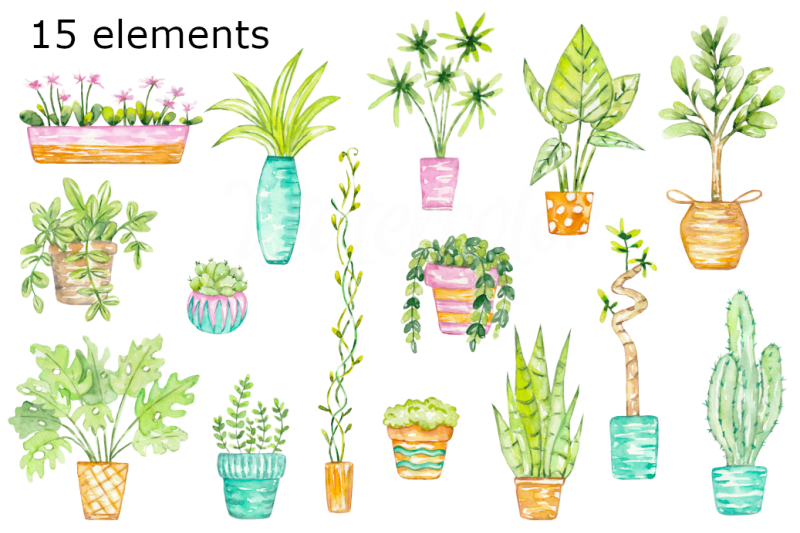 indoor-plants-watercolor-clipart