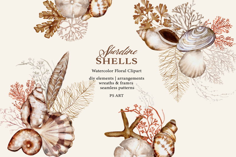 watercolor-seashell-clipart-set