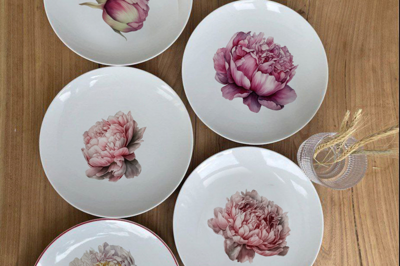 peony-botanical-floral-collection