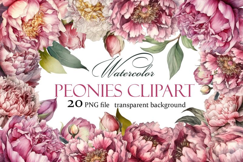 peony-botanical-floral-collection