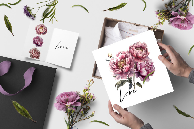 peony-botanical-floral-collection