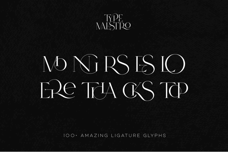 type-maestro-ligature-serif-font