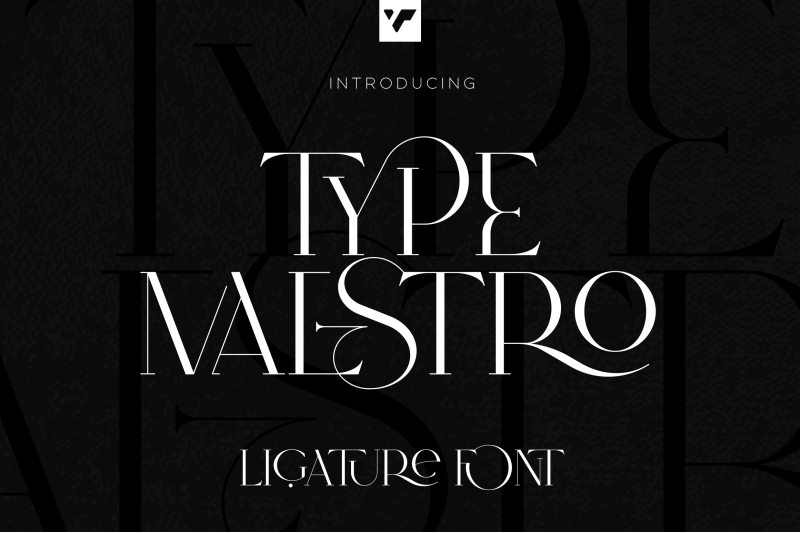 type-maestro-ligature-serif-font