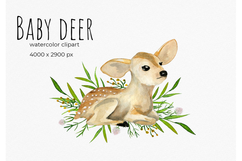 summer-baby-deer-summer-birthday-baby-shower-party-green-florals-wa