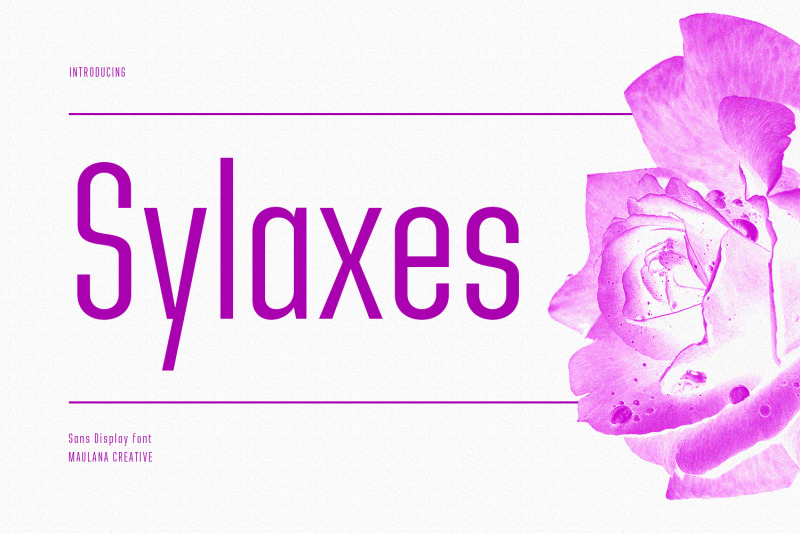 sylaxes-condensed-sans-font