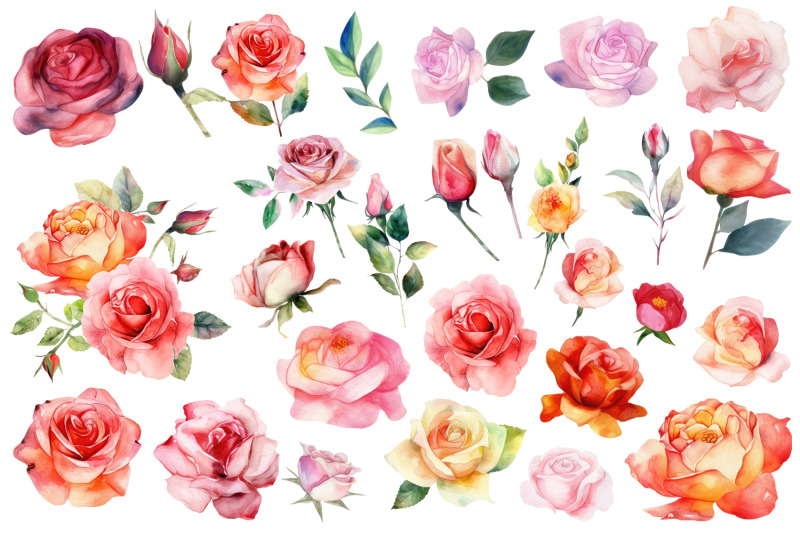 roses-clipart-watercolor-floral-clipart