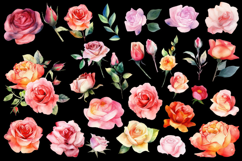 roses-clipart-watercolor-floral-clipart