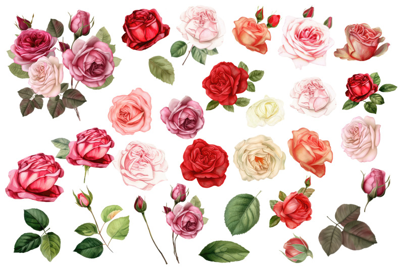 watercolor-floral-clipart-roses-clipart