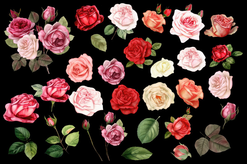 watercolor-floral-clipart-roses-clipart