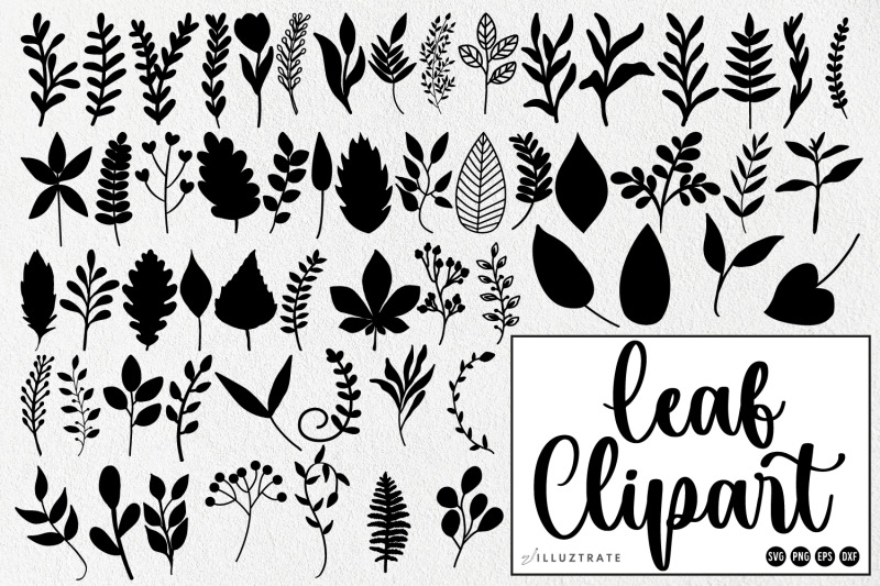 fern-svg-cut-files-leaf-clipart-fern-png