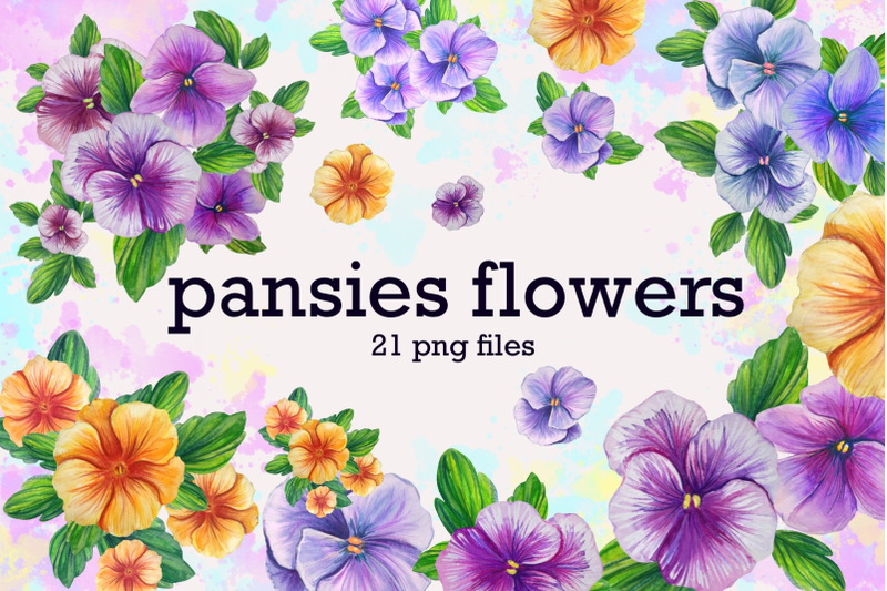 pansies-flowers