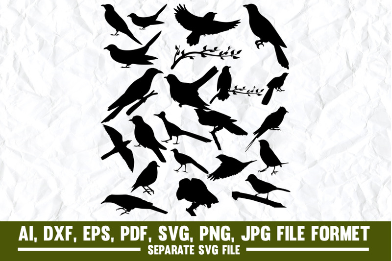 cucko-mockingbird-animal-animal-wildlife-arkansas-bird-illustrat