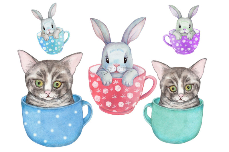 bunny-and-cat-watercolor-hand-drawn-illustrations