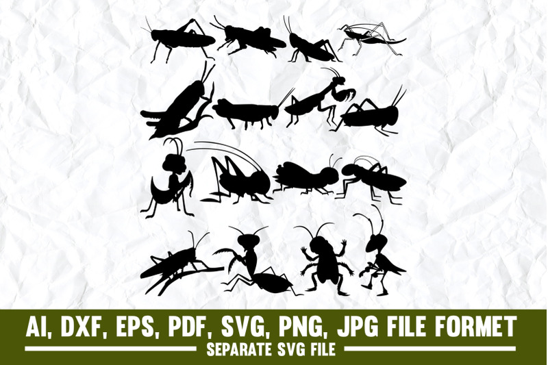grasshopper-engraved-image-drawing-art-product-illustration-locust