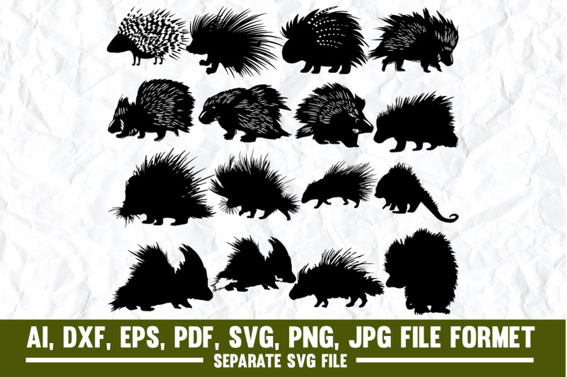 malayan-porcupine-animal-animal-wildlife-animals-in-the-wild-asia