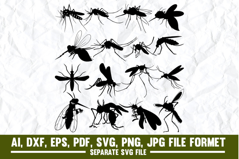mosquito-leishmania-pest-control-insect-white-background-zika-vir