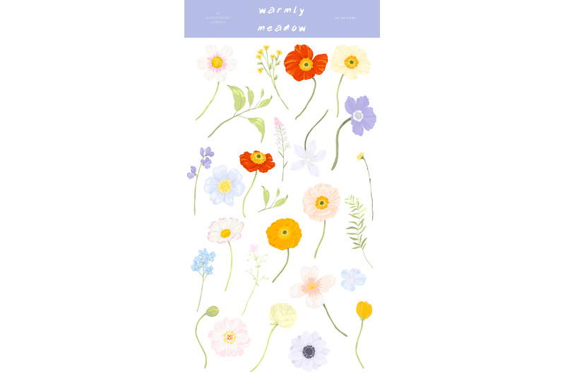 warmly-meadow-wildflowers-clipart-bright-floral-png