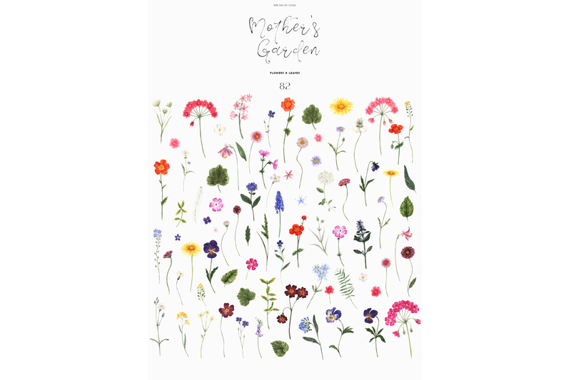 mothers-garden-wildflower-watercolor-clipart