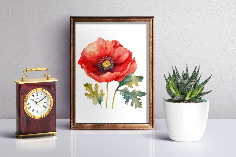 poppy-clipart-watercolor-floral-clipart