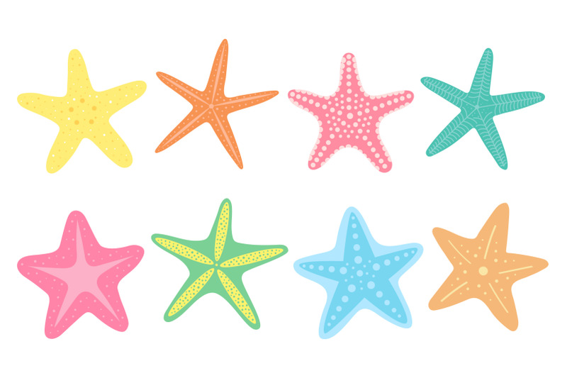 collection-starfish-starfish-svg-starfish-graphic