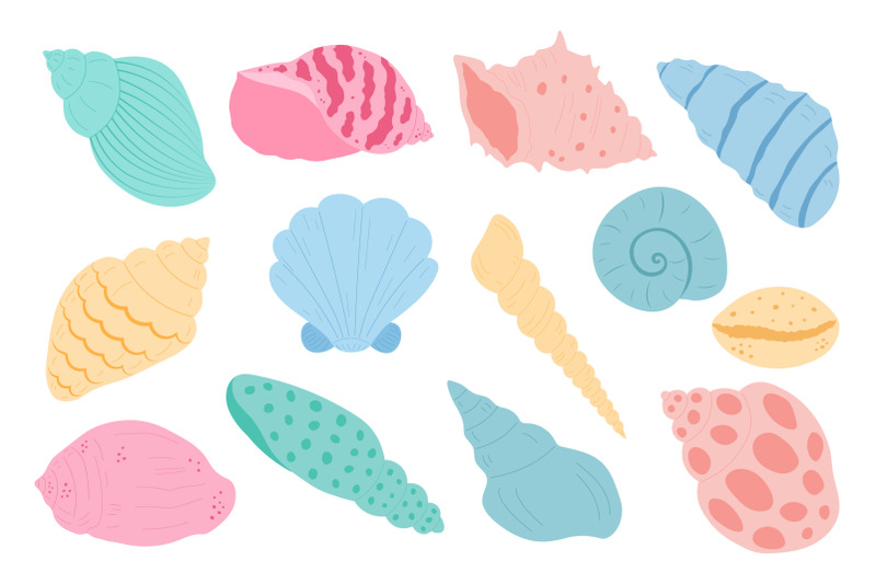 collection-sea-shells-sea-shells-svg-undersea-world-svg