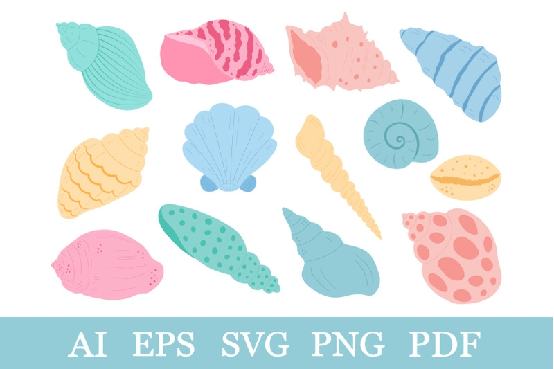 collection-sea-shells-sea-shells-svg-undersea-world-svg